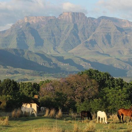 Ardmore Guest Farm Champagne Valley Εξωτερικό φωτογραφία
