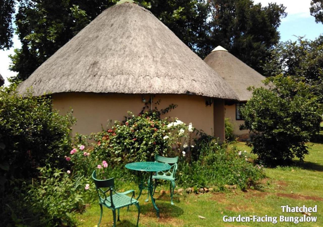 Ardmore Guest Farm Champagne Valley Εξωτερικό φωτογραφία