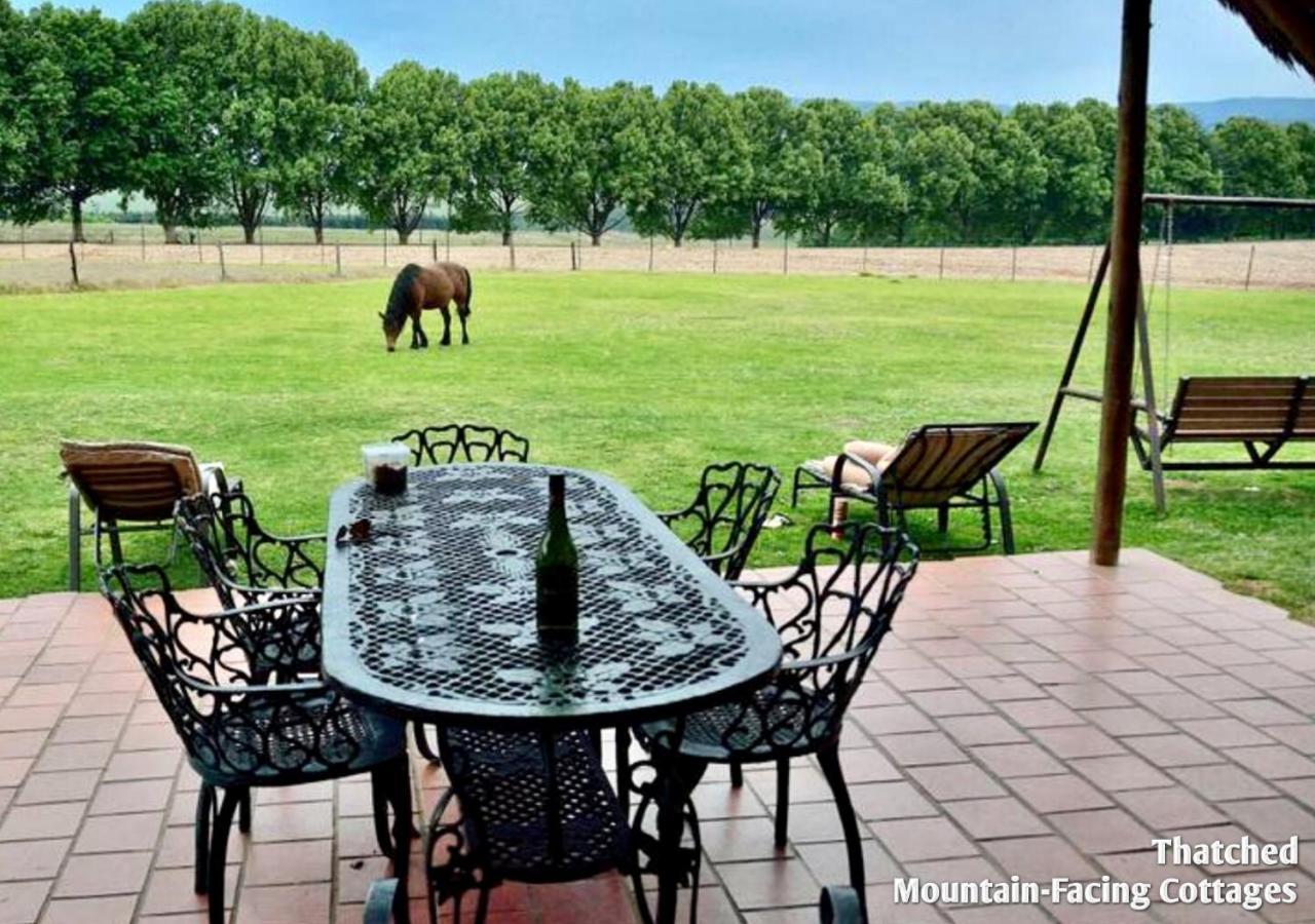 Ardmore Guest Farm Champagne Valley Εξωτερικό φωτογραφία