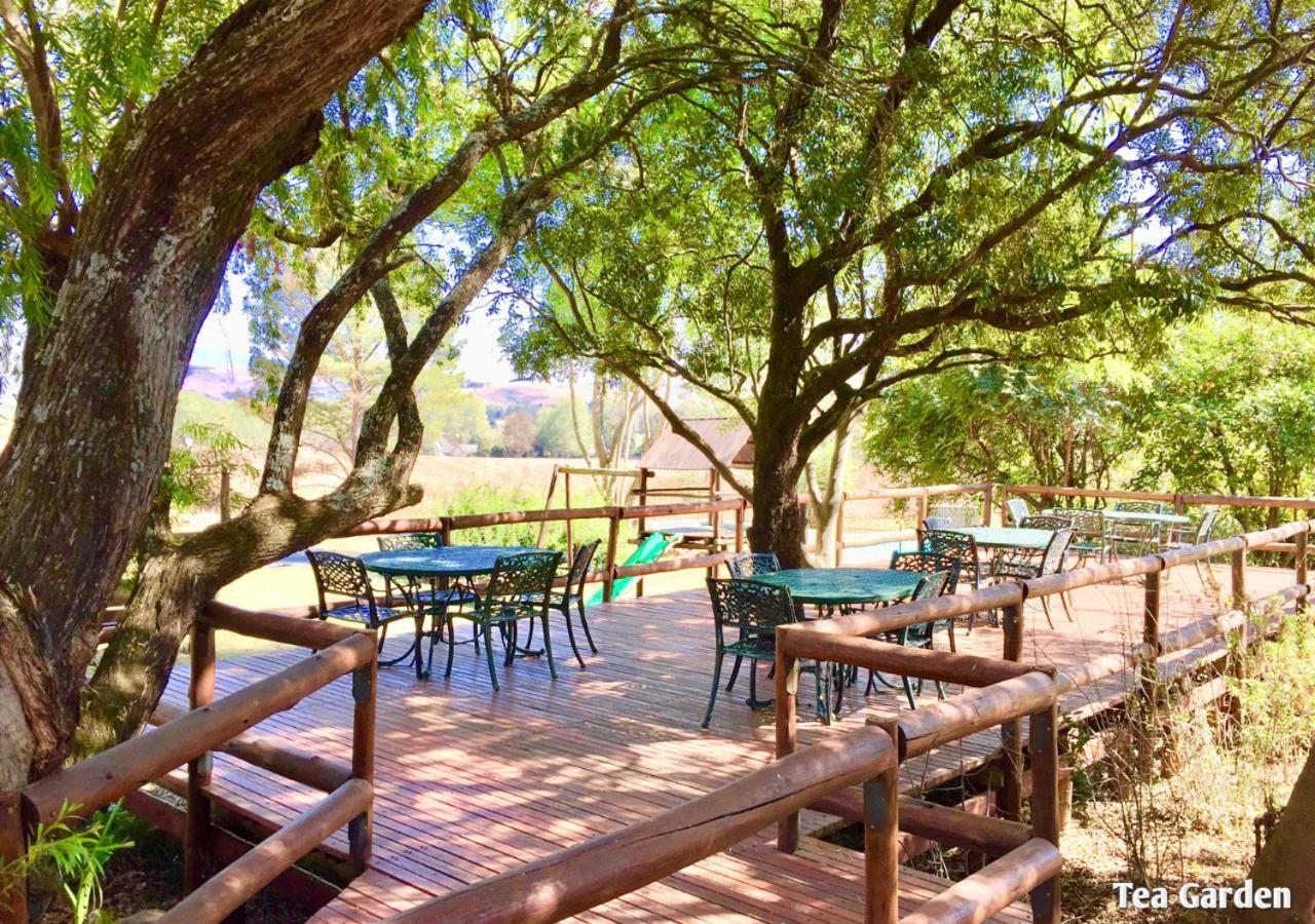 Ardmore Guest Farm Champagne Valley Εξωτερικό φωτογραφία